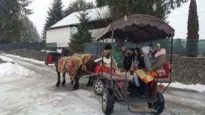 Plimbare cu trăsura: Fisherman`s Colibița